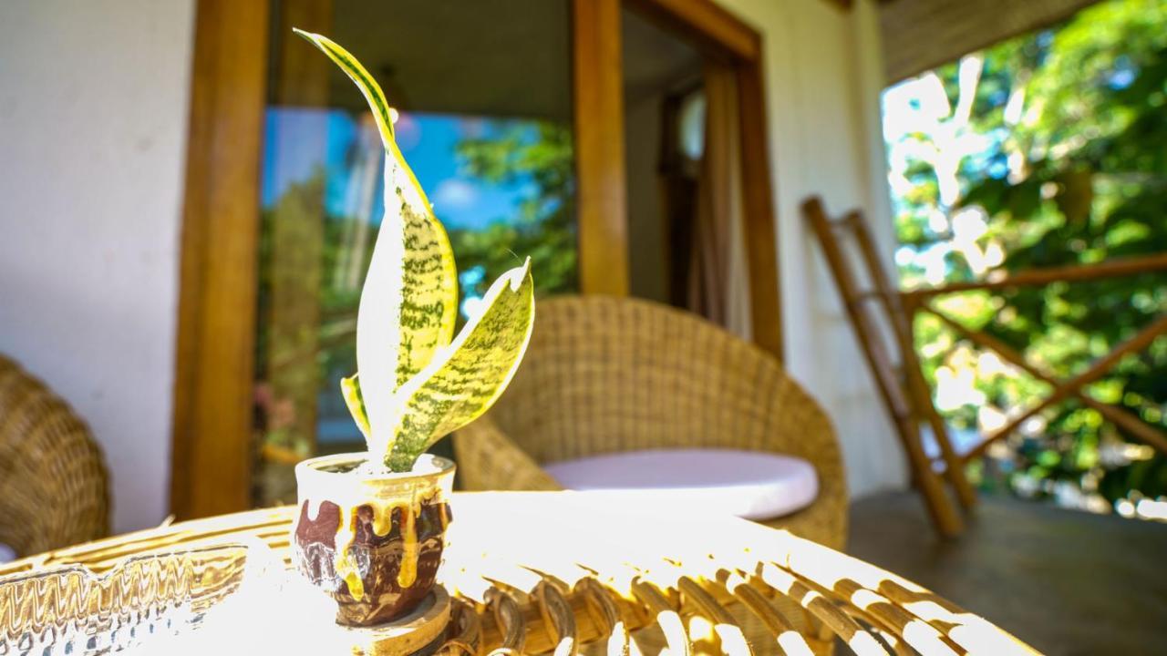 Serenity Hotel 爱妮岛 外观 照片